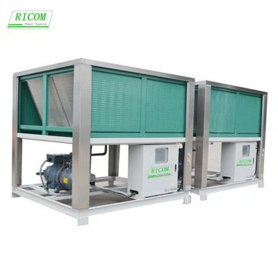 Low Temperature Air Cooled Screw or Scroll Chiller